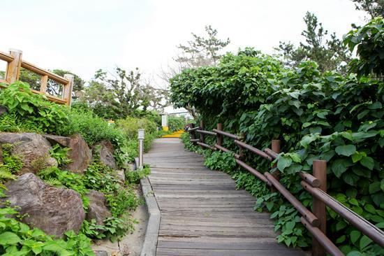 Haeansung Pension Seogwipo-stad Buitenkant foto